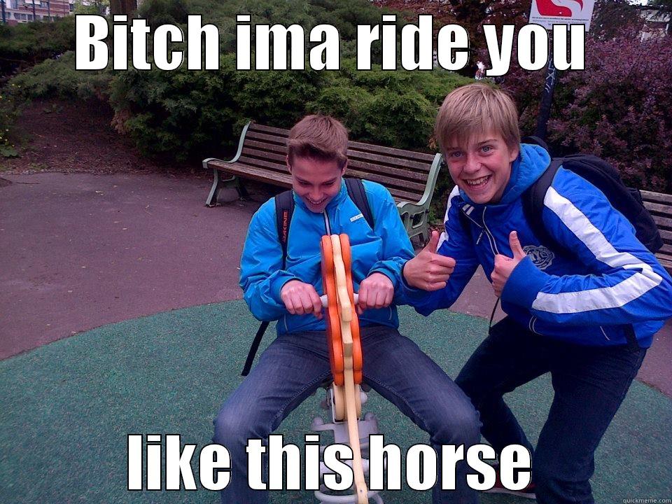 BITCH IMA RIDE YOU LIKE THIS HORSE Misc