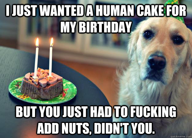 I just wanted a human cake for my birthday but you just had to fucking add nuts, didn't you.  Sad Birthday Dog