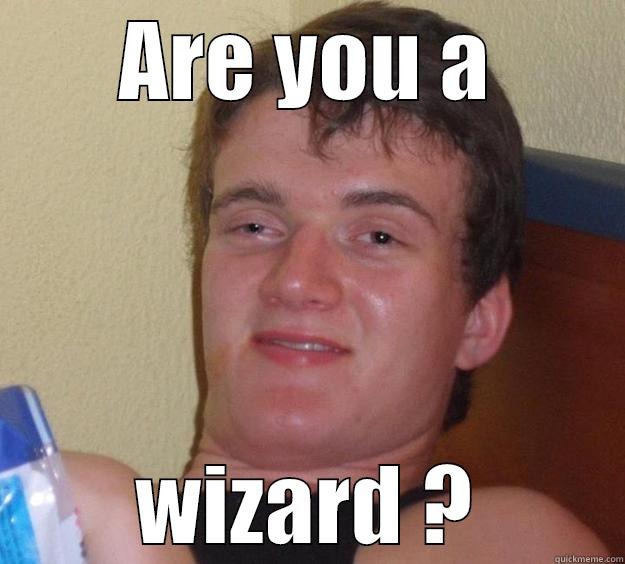 When you're to drunk - ARE YOU A WIZARD ? 10 Guy