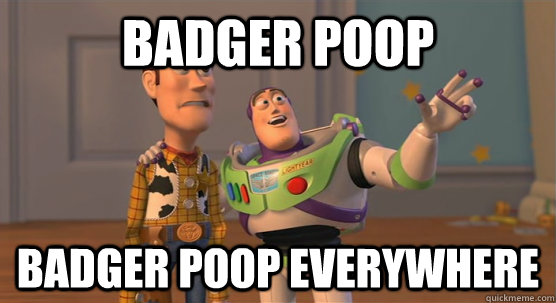 Badger poop badger poop everywhere  Toy Story Everywhere