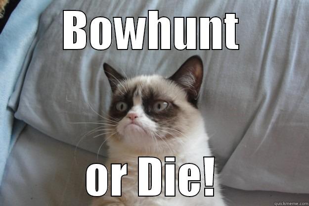 BOWHUNT OR DIE! Grumpy Cat