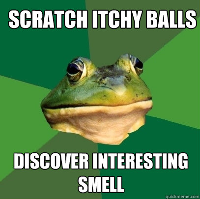 scratch itchy balls discover interesting smell - scratch itchy balls discover interesting smell  Foul Bachelor Frog