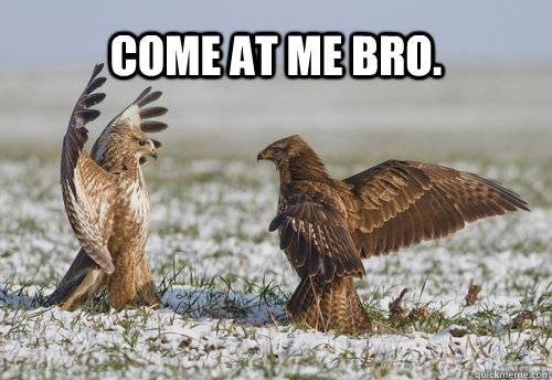 COME AT ME BRO. - COME AT ME BRO.  come a me