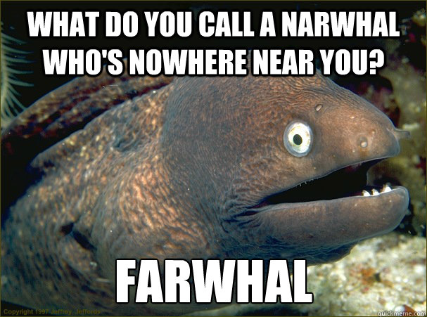 What do you call a narwhal who's nowhere near you? Farwhal  Bad Joke Eel