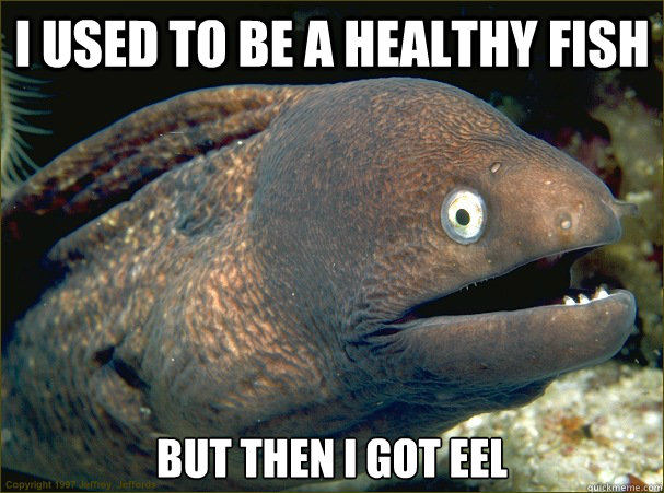 I used to be a healthy fish but then I got eel - I used to be a healthy fish but then I got eel  Bad Joke Eel