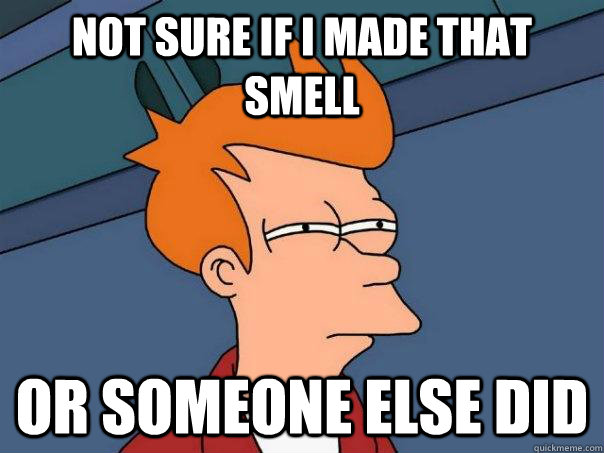 Not sure if I made that smell or someone else did  Futurama Fry