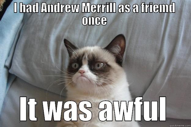 I HAD ANDREW MERRILL AS A FRIEMD ONCE IT WAS AWFUL Grumpy Cat