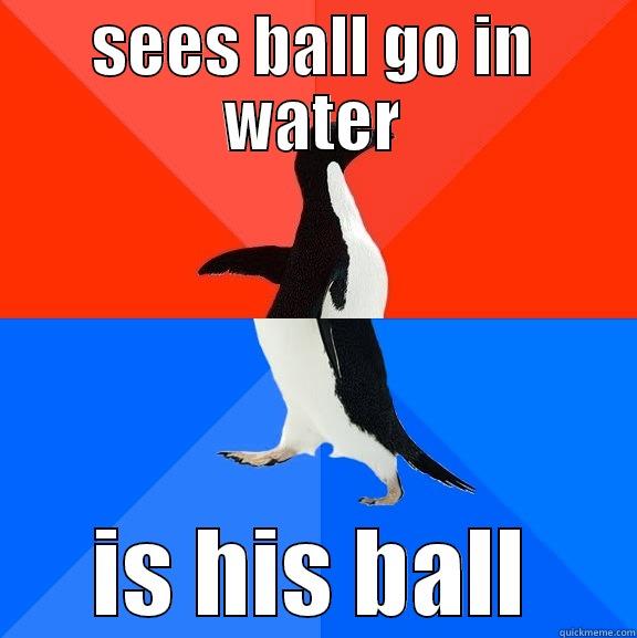 golf epic failure - SEES BALL GO IN WATER IS HIS BALL Socially Awesome Awkward Penguin