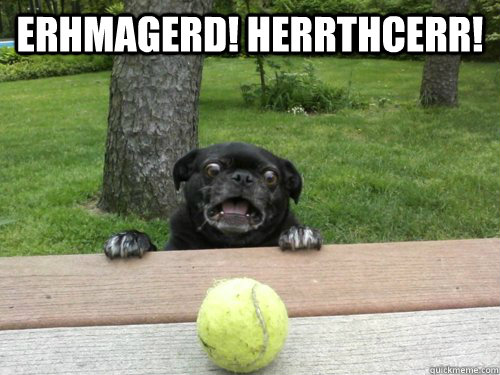 ERHMAGERD! HERRTHCERR! - ERHMAGERD! HERRTHCERR!  Entranced Pug