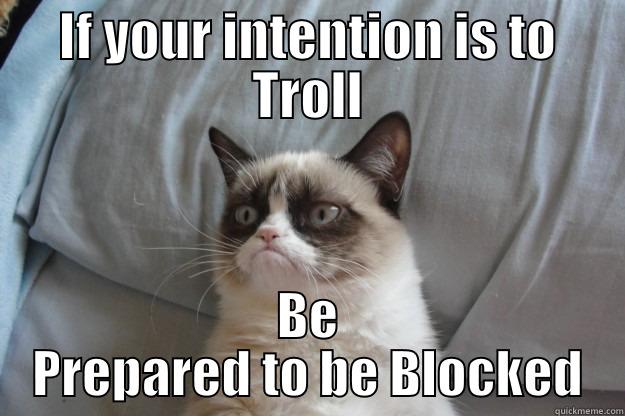 Opposition Trollers Beware - IF YOUR INTENTION IS TO TROLL BE PREPARED TO BE BLOCKED Grumpy Cat