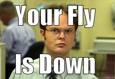 friendly reminder - YOUR FLY IS DOWN Schrute