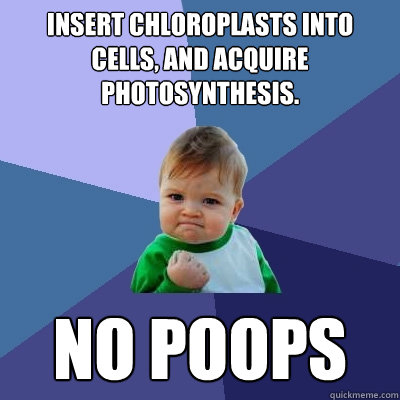 Insert Chloroplasts into cells, and acquire photosynthesis. NO POOPS  Success Kid