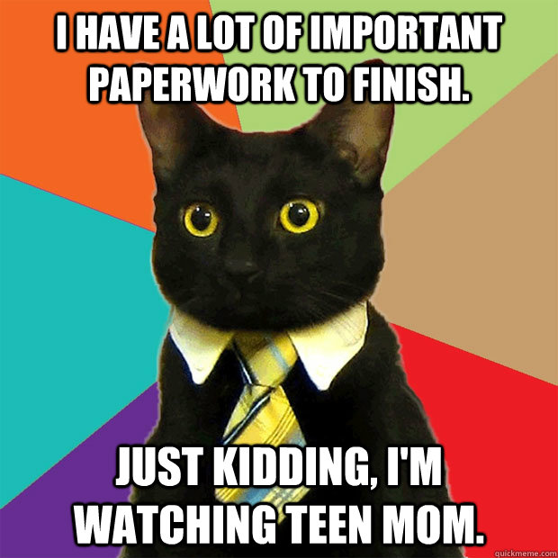 I Have a lot of important paperwork to finish. just kidding, I'm watching teen mom. - I Have a lot of important paperwork to finish. just kidding, I'm watching teen mom.  Business Cat