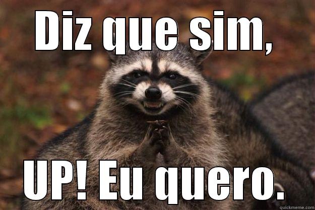 DIZ QUE SIM, UP! EU QUERO. Evil Plotting Raccoon