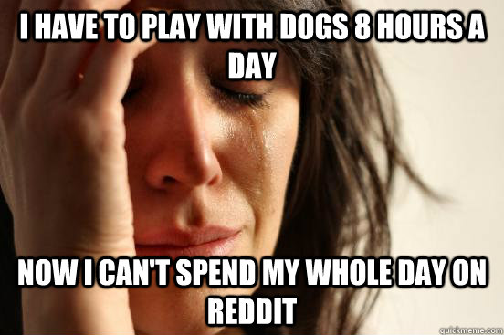 I have to play with dogs 8 hours a day Now I can't spend my whole day on reddit  First World Problems