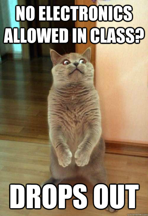 NO ELECTRONICS ALLOWED IN CLASS? DROPS OUT - NO ELECTRONICS ALLOWED IN CLASS? DROPS OUT  Horrorcat