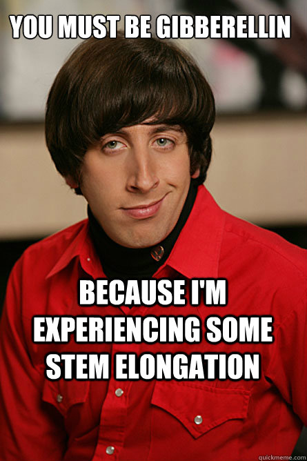 You must be gibberellin Because I'm experiencing some stem elongation  Pickup Line Scientist