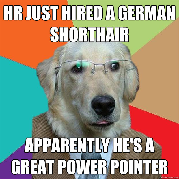 HR just hired a German shorthair apparently he's a great power pointer  Business Dog