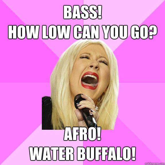 bass!
how low can you go? afro!
water buffalo!  Wrong Lyrics Christina