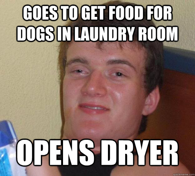 Goes to get food for dogs in laundry room opens dryer   10 Guy