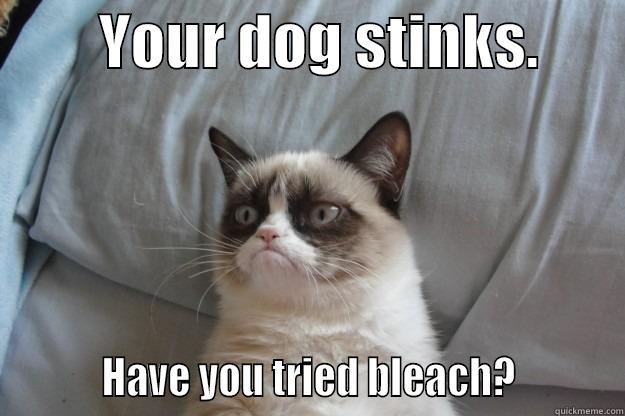         YOUR DOG STINKS.                 HAVE YOU TRIED BLEACH?          Grumpy Cat