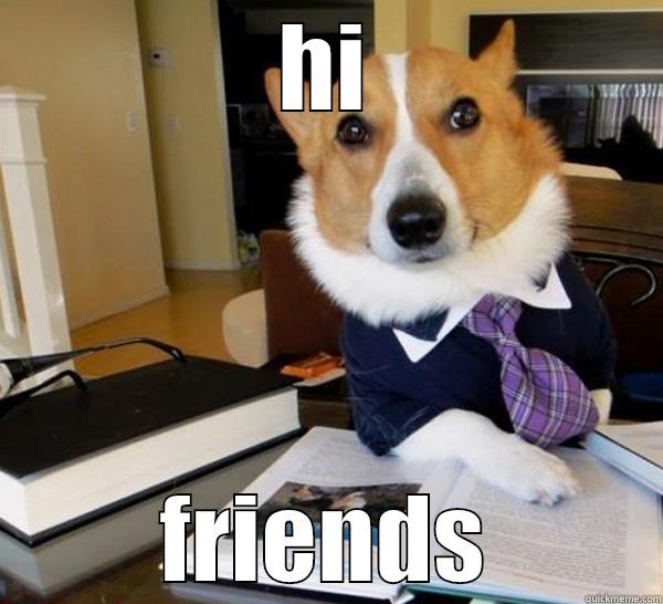 HI FRIENDS Lawyer Dog