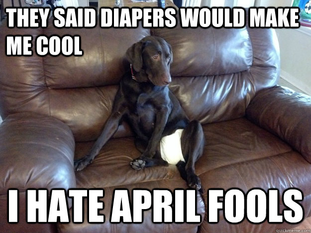 They said diapers would make me cool I hate april fools  Diaper Dog