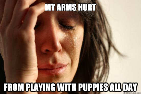 My arms hurt From playing with puppies all day - My arms hurt From playing with puppies all day  First World Problems