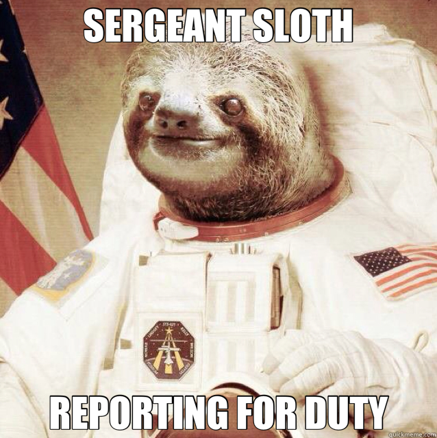 SERGEANT SLOTH REPORTING FOR DUTY  sergeant sloth