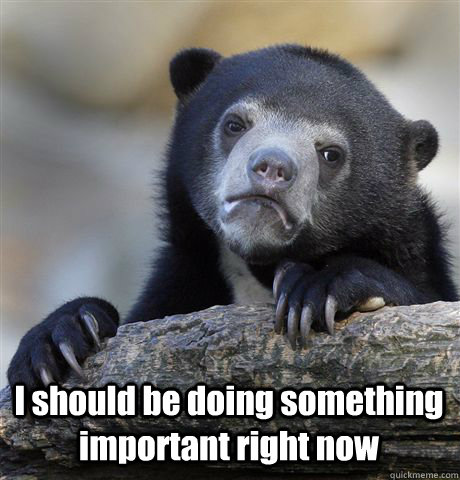  I should be doing something important right now  Confession Bear