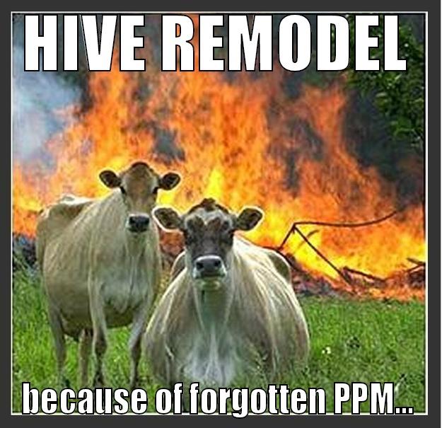 PPM cows - HIVE REMODEL BECAUSE OF FORGOTTEN PPM... Evil cows