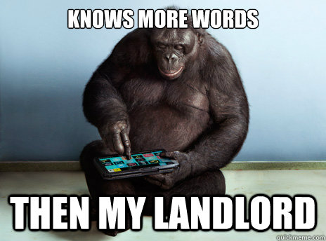 knows more words then my landlord - knows more words then my landlord  Good Guy Bonobo