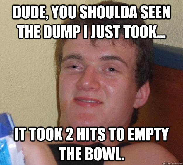 Dude, you shoulda seen the dump i just took... It took 2 hits to empty the bowl. - Dude, you shoulda seen the dump i just took... It took 2 hits to empty the bowl.  10 Guy