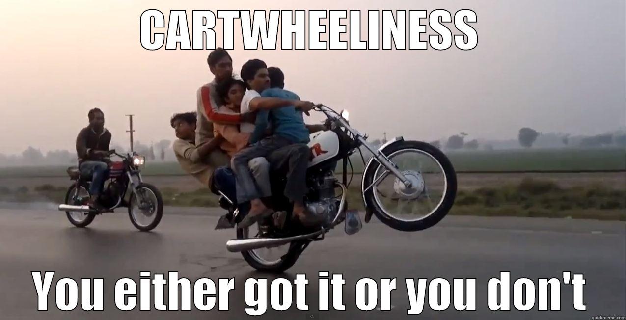 The whole fam goes for the ride of its life! - CARTWHEELINESS YOU EITHER GOT IT OR YOU DON'T Misc