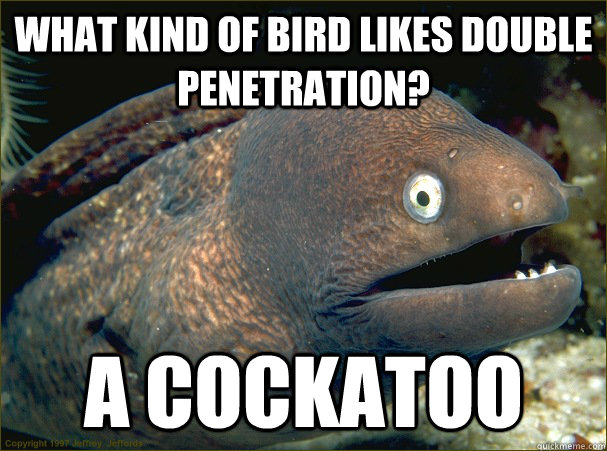 what kind of bird likes double penetration? a cockatoo  Bad Joke Eel