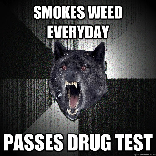 smokes weed everyday passes drug test  Insanity Wolf