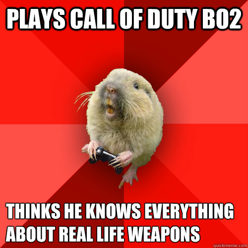 Plays call of duty bo2 Thinks he knows everything about real life weapons
  Gaming Gopher