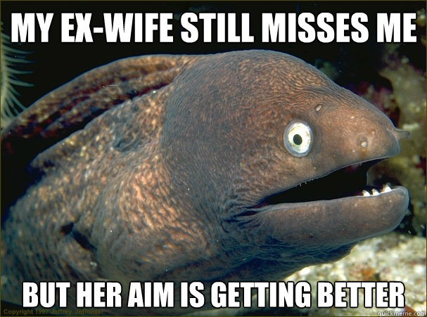 My ex-wife still misses me but her aim is getting better  Bad Joke Eel