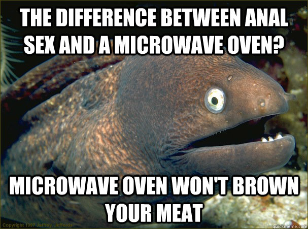 The difference between anal sex and a microwave oven? Microwave oven won't brown your meat  Bad Joke Eel