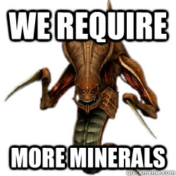 WE REQUIRE  MORE MINERALS  - WE REQUIRE  MORE MINERALS   Annoyed Zerg