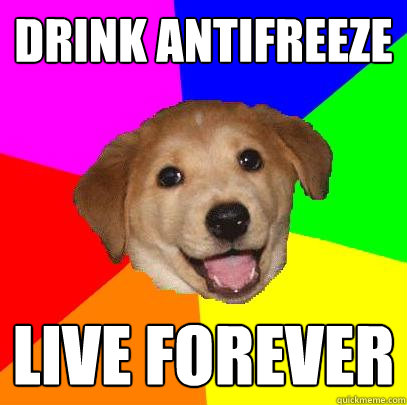 Drink antifreeze Live Forever  Advice Dog