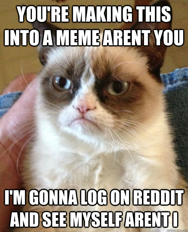 You're making this into a meme arent you I'm gonna log on reddit and see myself arent i  Grumpy Cat