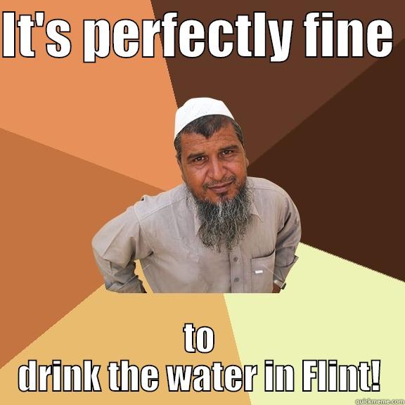 IT'S PERFECTLY FINE  TO DRINK THE WATER IN FLINT! Ordinary Muslim Man