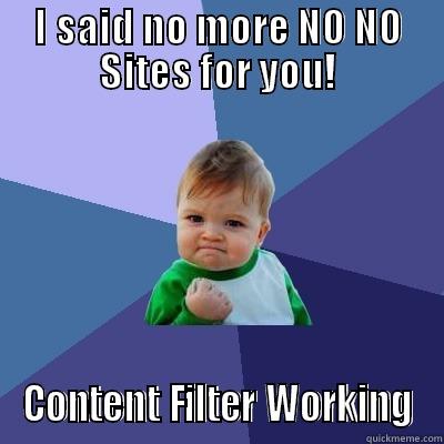 Blocked Content - I SAID NO MORE NO NO SITES FOR YOU! CONTENT FILTER WORKING Success Kid