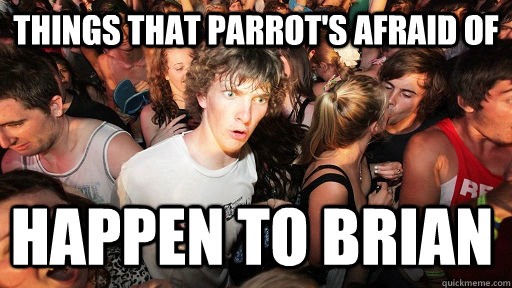 Things that parrot's afraid of happen to brian   Sudden Clarity Clarence