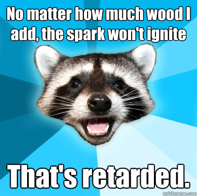 No matter how much wood I add, the spark won't ignite That's retarded.  Lame Pun Coon