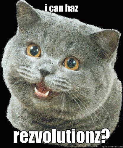 i can haz rezvolutionz? - i can haz rezvolutionz?  HappyCat