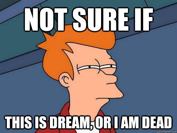 Not sure if this is dream, or i am dead  Futurama Fry