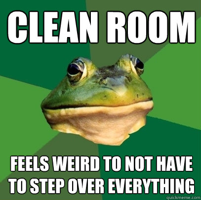 Clean Room feels weird to not have to step over everything  - Clean Room feels weird to not have to step over everything   Foul Bachelor Frog