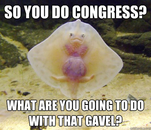 So you do congress? What are you going to do with that gavel? - So you do congress? What are you going to do with that gavel?  Forensics Pick-Up Line Fish